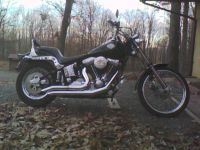 nocona